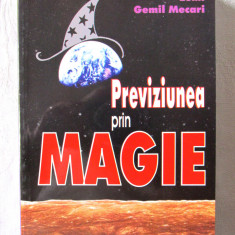"PREVIZIUNEA PRIN MAGIE", Lemi Gemil Mecari, 2008