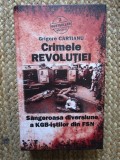 CRIMELE REVOLUTIEI - SANGEROASA DIVERSIUNE A KGB-ISTILOR DIN FSN de GRIGORE CARTIANU , 2010