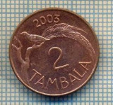 12225 MONEDA - MALAWI - 2 TAMBALA -ANUL 2003 -STAREA CARE SE VEDE, America Centrala si de Sud
