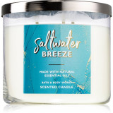 Bath &amp; Body Works Saltwater Breeze lum&acirc;nare parfumată 411 g