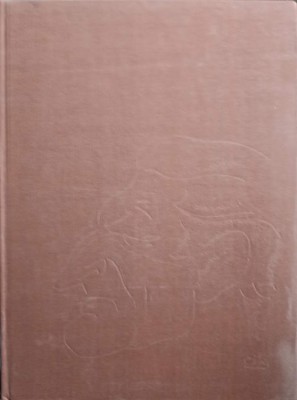 LUCIAN GRIGORESCU. ALBUM PICTURA-MAGDA CARNECI-219210 foto