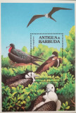 BC181, Antigua &amp; Varbuda 1994, colita fauna, pasari, Nestampilat