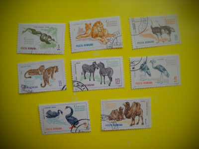 HOPCT LOT NR 289 GRADINA ZOOLOGICA BUCURES 1964-8 TIMBRE VECHI-STAMPILAT ROMANIA foto