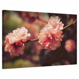 Tablou Canvas, Tablofy, Sakura Blossom, Printat Digital, 90 &times; 120 cm