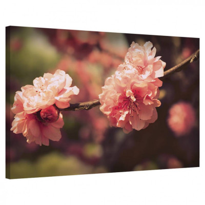 Tablou Canvas, Tablofy, Sakura Blossom, Printat Digital, 40 &amp;times; 50 cm foto