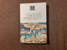 Etienne Perrot - Calea transformarii dupa C. G. Jung si alchimie foto