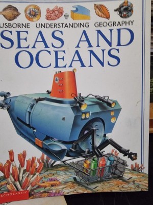 Seas and Oceans (Usborne Understanding Geography) foto