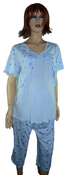 Pijama pentru alaptat-REGINA RGN4A, Albastru Pijama pentru alaptat-REGINA RGN4A, Albastru