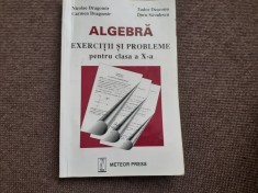 ALGEBRA EXERCITII SI PROBLEME PENTRU CLASA A X A NICOLAE DRAGOMIR 2005
