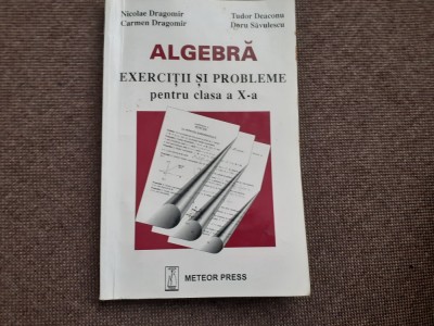 ALGEBRA EXERCITII SI PROBLEME PENTRU CLASA A X A NICOLAE DRAGOMIR 2005 foto