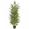 Plantă Artificială Chiparos Cu Ghiveci Verde 150 cm 280176, General