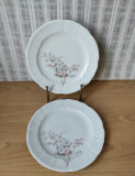 Lot de 2 farfurii portelan model floral cu flori de mar