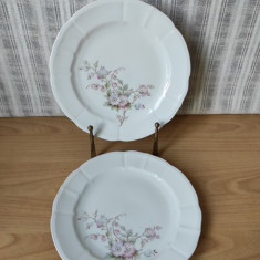 Lot de 2 farfurii portelan model floral cu flori de mar