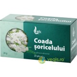 Coada Soricelului 20dz