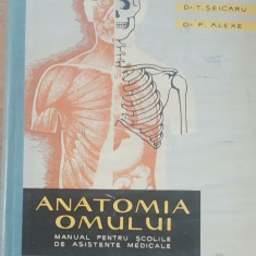 ANATOMIA OMULUI - VIOREL RANGA, 1961