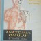 ANATOMIA OMULUI - VIOREL RANGA 1961