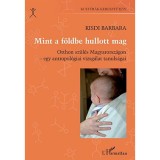 Mint a f&ouml;ldbe hullott mag - Otthon sz&uuml;l&eacute;s Magyarorsz&aacute;gon - egy antropol&oacute;giai vizsg&aacute;lat tanuls&aacute;gai - Kisdi Barbara