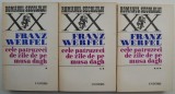 Cele patruzeci de zile de pe Musa Dagh, Franz Werfel - 3 volume - Roman