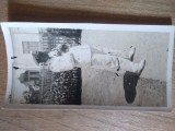 Fotografii Tematica Militari