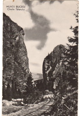 CPIB 22714 - CARTE POSTALA - MUNTII BUCEGI. CHEILE TATARULUI, RPR, NECIRCULATA foto