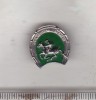 Bnk ins Insigna RSR Hipodromul de galop, Romania de la 1950