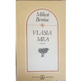 VLASIA MEA. VERSURI-MIHAI BENIUC-243650