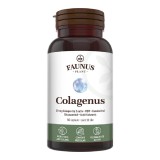 Colagenus Capsule, Colagen concentrat tip II, acid hialuronic și plante medicinale, 60 capsule, Faunus Plant