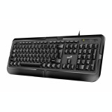 Cumpara ieftin Tastatura cu fir GENIUS negru KB-118 31310051400