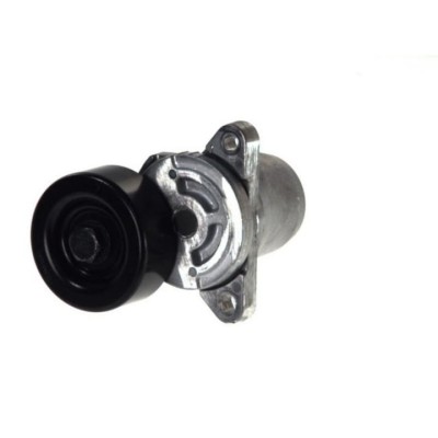 Rola intinzator, curea transmisie Kia Pro Ceed 2008-&amp;gt; ED VKM 65027 foto