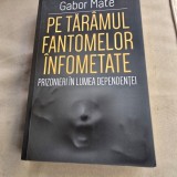 Pe Taramul Fantomelor Infometate , Prizonieri in Lumea Dependentei - Gabor Mate