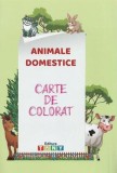 Animale domestice. Carte de colorat - Victoria Rata - Ars Libri