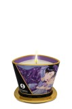 Shunga Candle Exotic Fruit - Lum&acirc;nare de Masaj cu Aromă de Fructe Exotice, 170ml, Orion