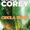 Cibola Burn