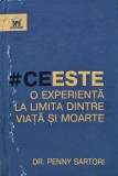 Cumpara ieftin Ce este o experienta la limita dintre viata si moarte - 2016 - Penny Sartori (I320)