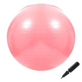 Minge pentru fitness sau yoga 75 cm, pompa inclusa, roz Household NewTrend