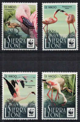 SIERRA LEONE 2017 - Fauna WWF, Flamingo roz/serie completa MNH foto