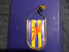 Fanion Luceafarul Bucuresti foto