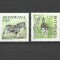 BOTSWANA 2024 FAUNA ANIMALE SALBATICE ZEBRE