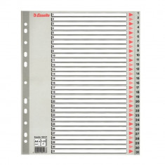 Index A4 Maxi Esselte, cu 31 Separatoare, Plastic, Gri, Index de Plastic cu Separatoare 1-31, Index de Plastic cu Separatoare Numerotate, Index de la