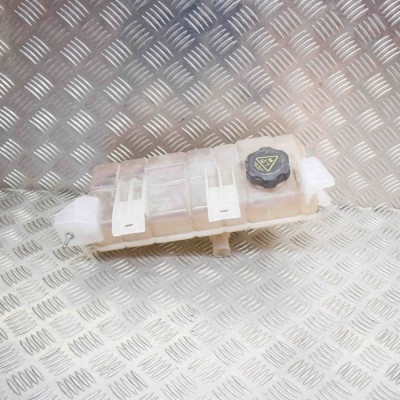 Vas de expansiune TESLA MODEL S 2017 OEM: 6007612-00-A,1036124-00-O 12523436 foto