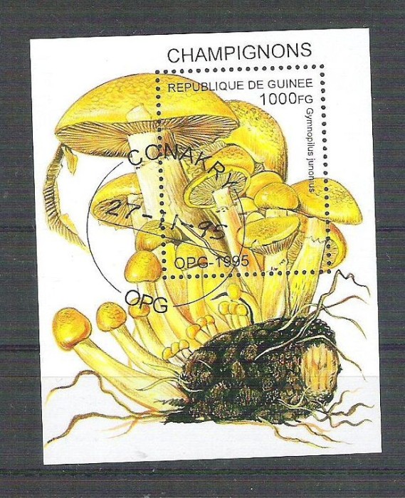 Guinee 1995 Mushrooms, perf. sheet, used AB.045