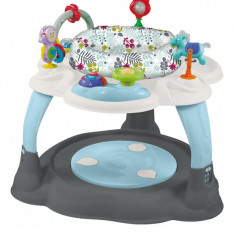 Masuta multifunctionala BabyMix BG-1915G, Multicolor foto