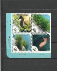 COREEA DE SUD 2020 FAUNA CALUTI DE MARE foto