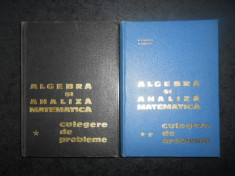 N. DONCIU - ALGEBRA SI ANALIZA MATEMATICA. CULEGERE DE PROBLEME 2 volume foto