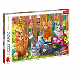 Puzzle 1000 piese, model pisici in gradina, multicolor foto