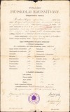 A1824 Certificat școlar, 1913, S&acirc;ntana, județul Arad
