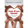 Csak j&oacute; van benned - &Ouml;r&ouml;k&ouml;lt csal&aacute;di traum&aacute;k - Richard C. Schwartz
