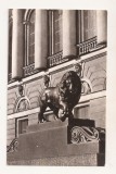 FA137 -Carte Postala- RUSIA - Lion at the main entrance to the State Russian Museum, necirculata 1979