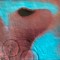Pink Floyd Meddle reissueremaster 2025 (cd)