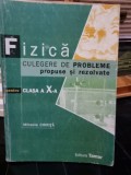 Fizica, culegere de probleme propuise si rezovate pentru clasa a X-a - Mihaela Chirita